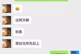 青秀债务清欠服务